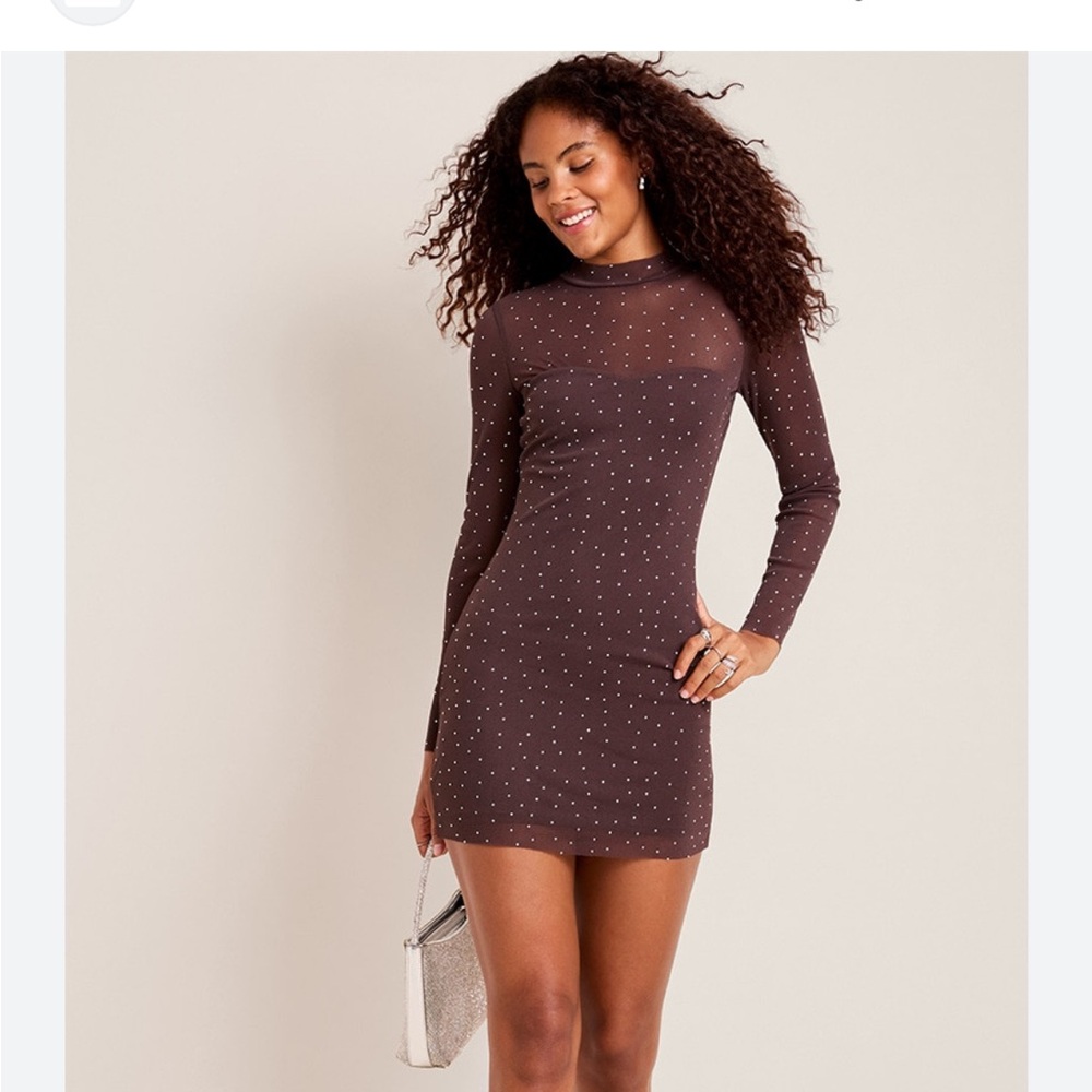 Sheer Brown Dress